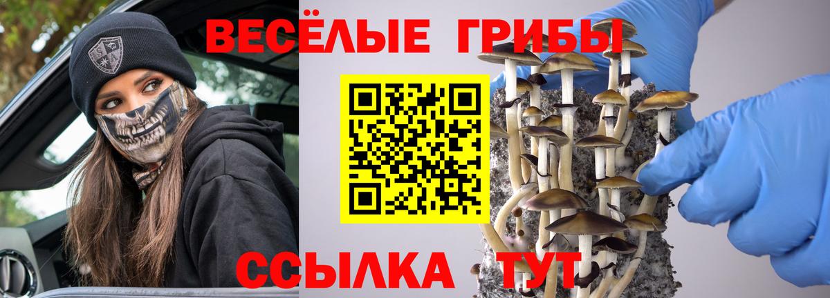 Псилоцибиновые грибы мухоморы  Галлюциногенные грибы мухоморы  Алушта  магазин продажи наркотиков  Вход с VPN 